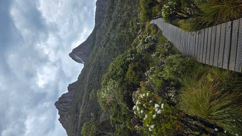 Boardwalk leading through greenery towards a mountainous backdrop under overcast skies.