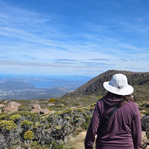 Person looking at a panoramic view of mountains and ocean from a high vantage point.