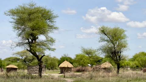 Traditional huts among sparse trees and greenery in a rural setting.