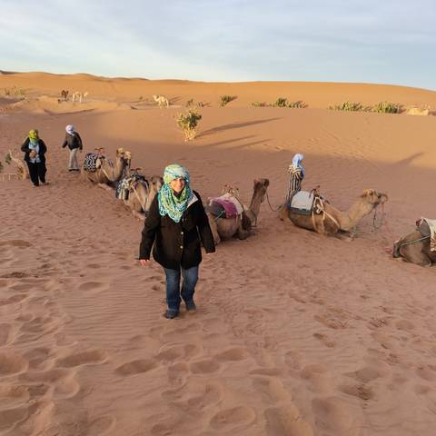       A group of people with camels in the desert, some walking.
  