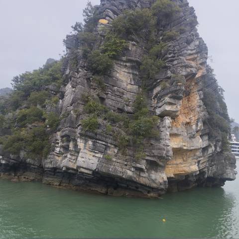 Limestone karst formation with green vegetation.
