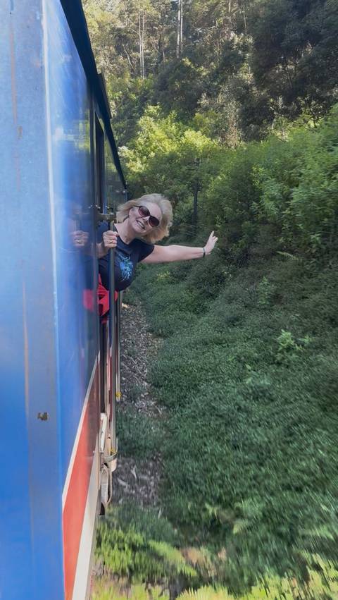 A person leaning out of a train, waving, with lush greenery in the background.