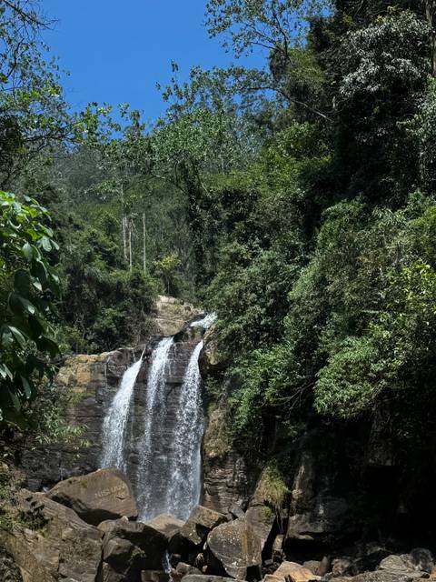 A waterfall surrounded by dense forest vegetation.