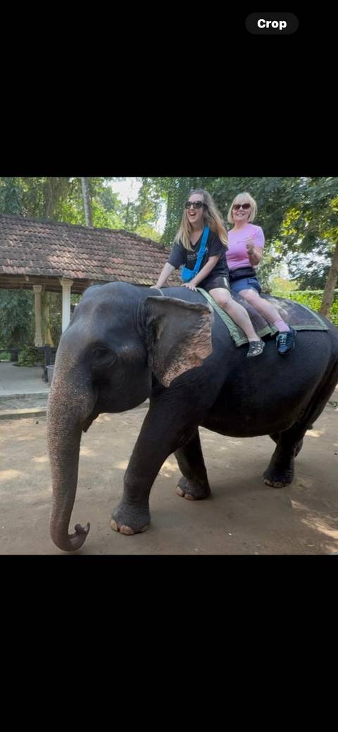       Two people riding an elephant in a park setting.
  