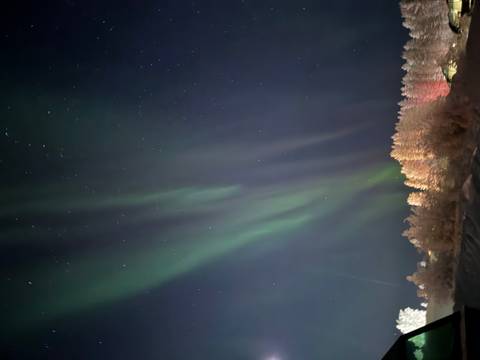 Aurora borealis over snow-covered forest at night.