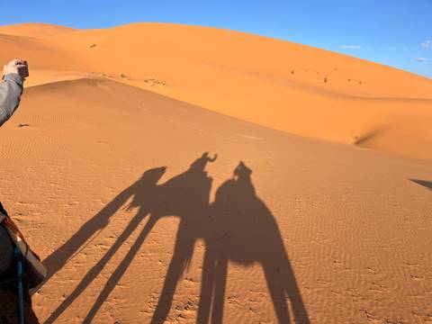 Silhouettes of two people on camels in the desert during sunset.