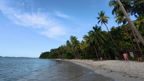 Relaxing on a tropical beach with palm trees.