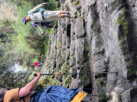       Group of people hiking up stone steps in a forest.
  