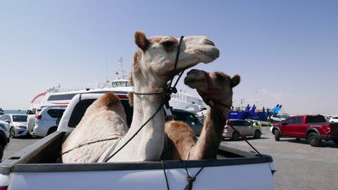 Klantbeoordelingsfoto van Natuurwonderen van Oman 