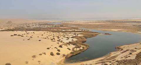       Aerial view of a desert landscape with a water body and vegetation.
  