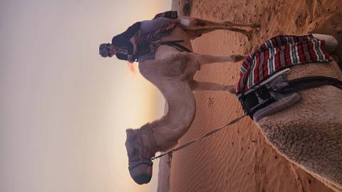       Person riding a camel in the desert during sunset.
  