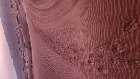       Footprints in the sand on desert dunes.
  