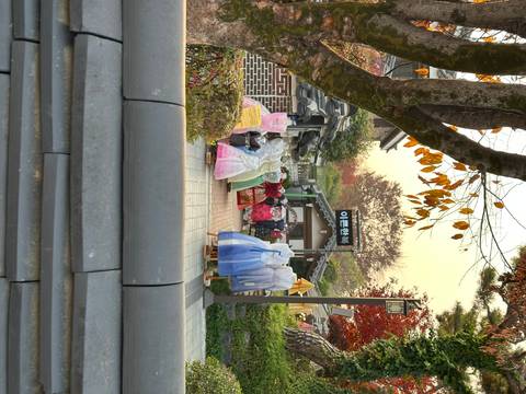 Klantbeoordelingsfoto van 2026 Ontdek Korea in 7 dagen: Een samengestelde all-inclusive ervaring met DMZ-touroptie 