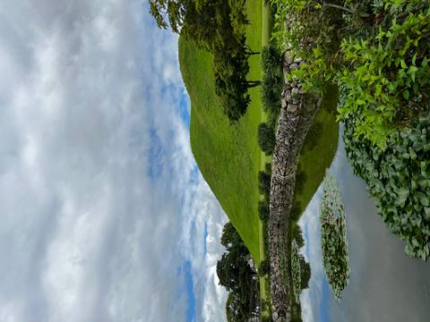 Klantbeoordelingsfoto van 2026 Ontdek Korea in 7 dagen: Een samengestelde all-inclusive ervaring met DMZ-touroptie 