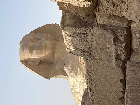       Close-up of the Sphinx with a clear sky.
  