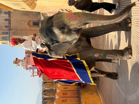 Goldenes Dreieck Rundreise (inkl. Varanasi) Foto von Kundenbewertung 