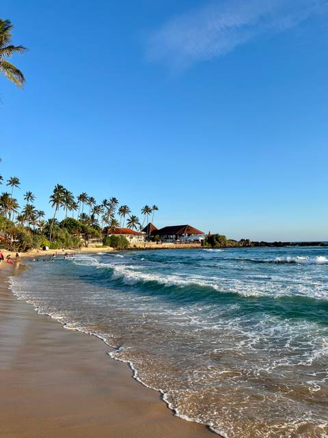 Beautiful beach scene with palm trees and a coastal resort.