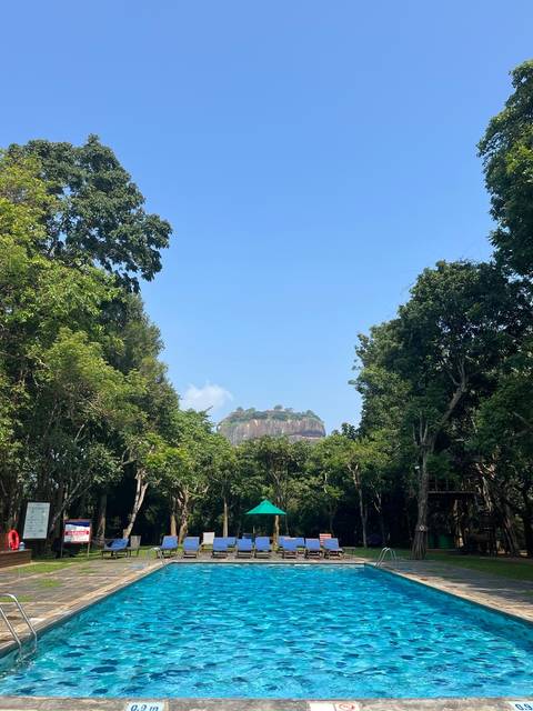 View of a large rock fortress visible through the trees.
