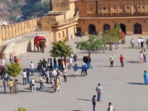       Elephant being ridden with tourists around.
  