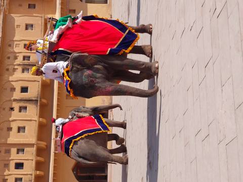       Tourists riding elephants at a historic site.
  