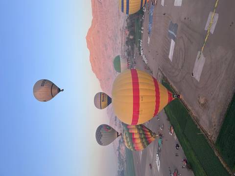 Hot air balloons in the sky during sunrise over a field.