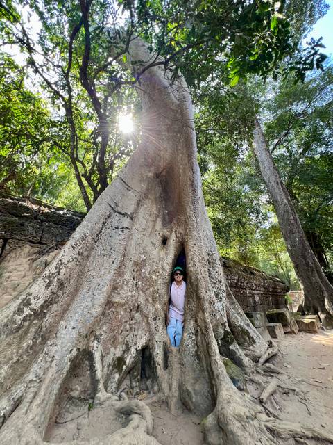 Person happily posing inside a large tree trunk with sunlight peeking through leaves.