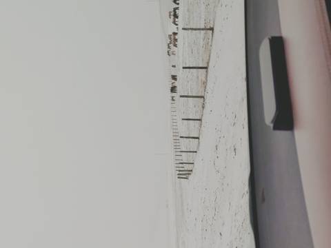 Snowy landscape with horses in a field viewed from a car.