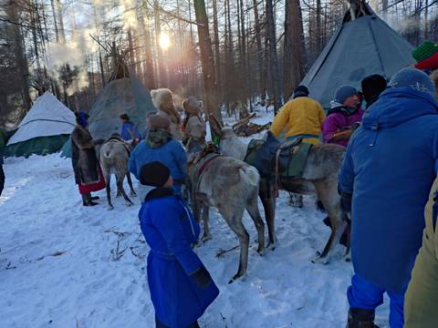 People and reindeer in a snowy forest setting.