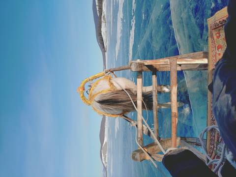 Horse pulling a sled on a frozen lake.