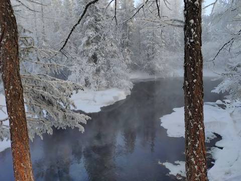 Frozen river surrounded by snow-covered trees.