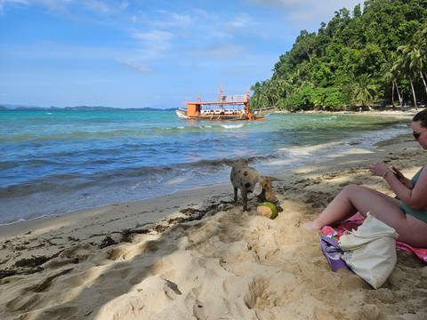       West Philippinen 10 Tage Foto von Kundenbewertung 
  