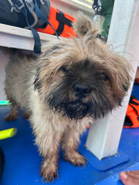 Klantbeoordelingsfoto van De westelijke Filippijnen – klassieke rondreis – One Life Adventures – 10 dagen 