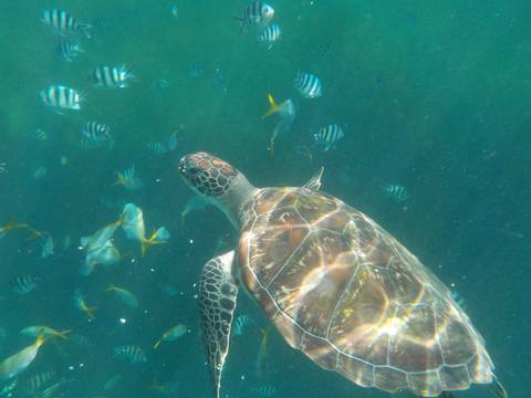 Klantbeoordelingsfoto van De westelijke Filippijnen – klassieke rondreis – One Life Adventures – 10 dagen 