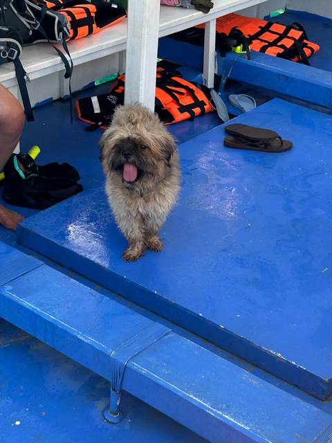 Klantbeoordelingsfoto van De westelijke Filippijnen – klassieke rondreis – One Life Adventures – 10 dagen 