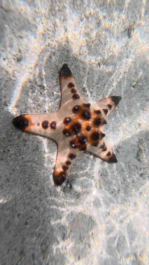 Klantbeoordelingsfoto van De westelijke Filippijnen – klassieke rondreis – One Life Adventures – 10 dagen 