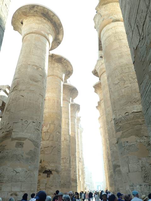       History &amp; Civilization Egypt 7 days (Pyramids &amp; GEM -Aswan-Nile Cruise-Luxor) customer review photo 
  