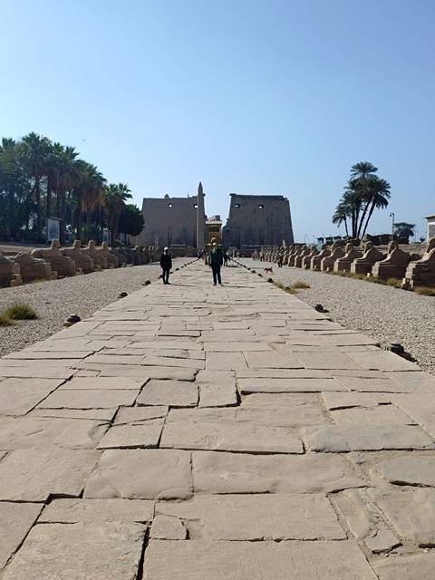       History &amp; Civilization Egypt 7 days (Pyramids &amp; GEM -Aswan-Nile Cruise-Luxor) customer review photo 
  