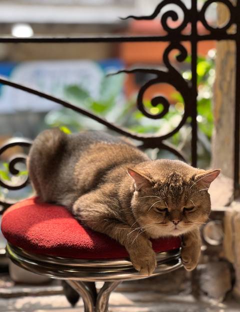 Klantbeoordelingsfoto van Hanoi – proef & maak ei-kokos-koffie – met Untold Stories 