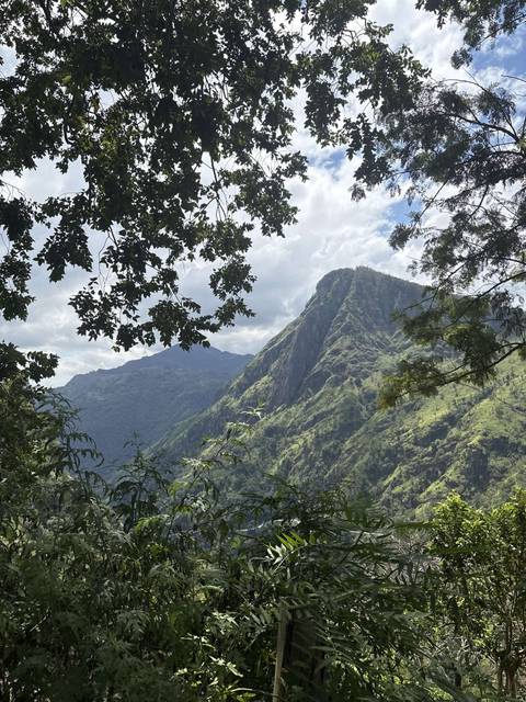       Verdant mountain peak framed by tree branches under a partly cloudy sky in Sri Lanka’s hill country.
  