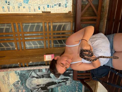       Young woman seated on a wooden bench gently holds a small snake during an interactive encounter.
  