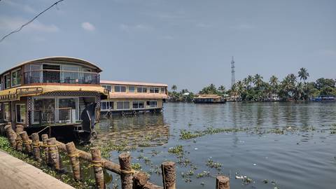       Traditional thatched houseboats moored on calm Alleppey backwaters under clear sky.
  