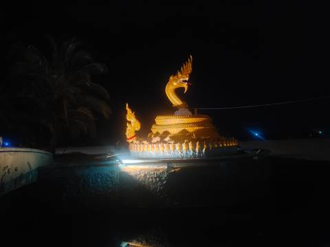       Illuminated golden naga serpent statue at night with palm backdrop and dark sky.
  