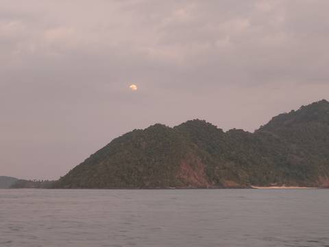       Moon rising over a forested island off a calm sea in twilight.
  