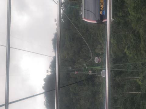       Blurry view through window bars of multiple cable cars ascending over forested hills.
  