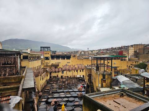       Panoramic view of the famous Chouara leather tannery with dyeing pits and hanging hides.
  