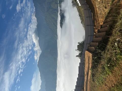       Sea of clouds filling a valley below towering green mountains under a blue sky.
  