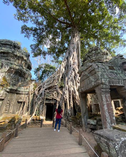 Klantbeoordelingsfoto van Hanoi en Siem Reap 6 dagen 5 nachten 