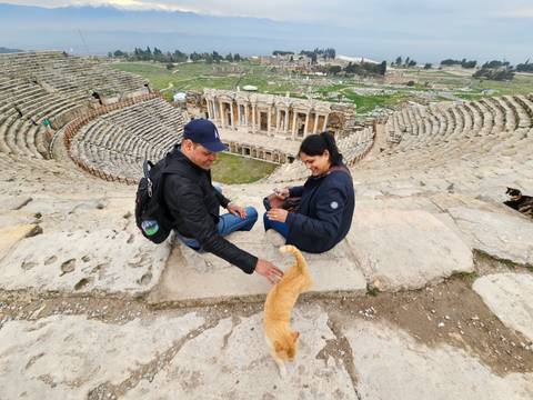       Couple sits on stone seats high in ancient Roman theatre petting a friendly cat, ruins spread below.
  