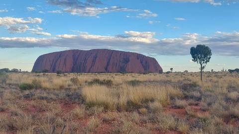       Wide view of Uluru rising from flat desert grasslands under a blue sky dotted with clouds
  