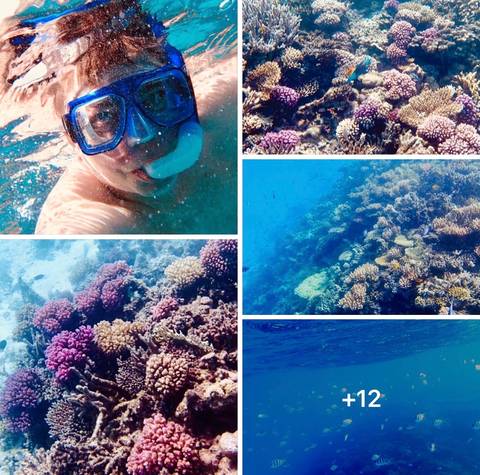       Photo d'avis client sur Égypte (GEM) et Jordanie 10 jours de découverte, y compris avec le vol Égypte-Jordanie 
  